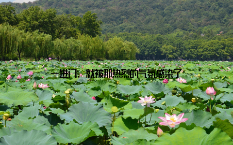 一进门, 就被那热烈的气氛感染了