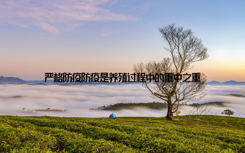 严格防疫防疫是养殖过程中的重中之重