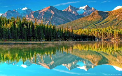 接下来, 是行业专家们的主题演讲