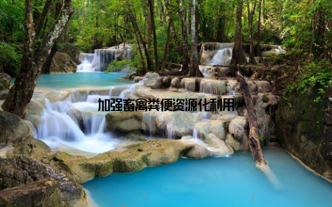 加强畜禽粪便资源化利用