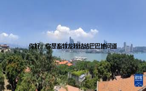 你好, 你是畜牧龙我结结巴巴地问道