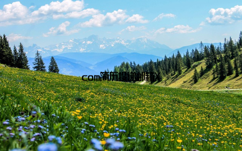 com简历投递邮箱X