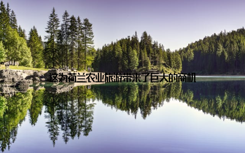 这为荷兰农业旅游带来了巨大的商机