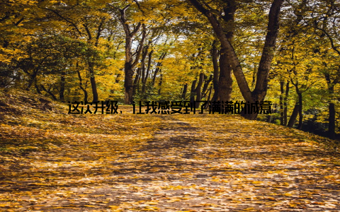 这次升级, 让我感受到了满满的诚意