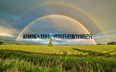 赶快加入我们, 共同开启畜牧新纪元