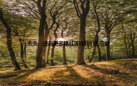 未来, 还有更多挑战等待我们去应对