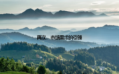 再次, 市场需求的引领