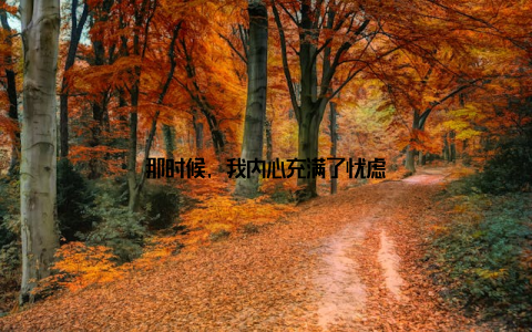 那时候, 我内心充满了忧虑