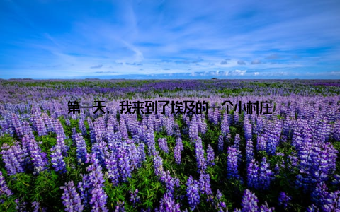 第一天, 我来到了埃及的一个小村庄