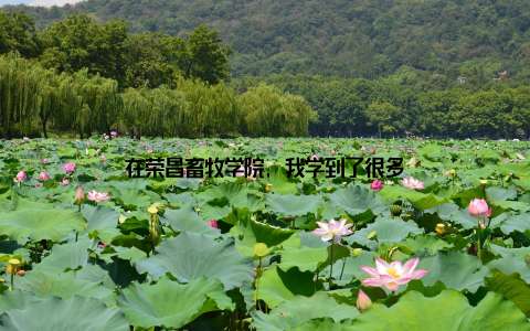 在荣昌畜牧学院, 我学到了很多