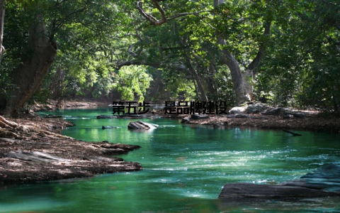 第五步, 是品牌建设