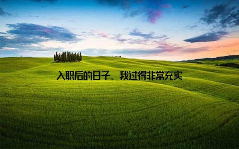 入职后的日子, 我过得非常充实
