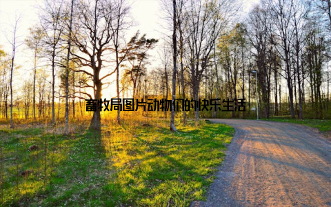 畜牧局图片动物们的快乐生活