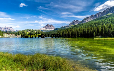 食品安全问题再次成为人们关注的焦点