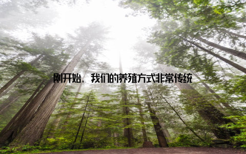 刚开始, 我们的养殖方式非常传统