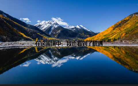 在这困境中, 我也看到了机遇