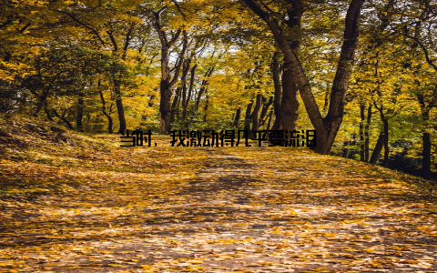 当时, 我激动得几乎要流泪