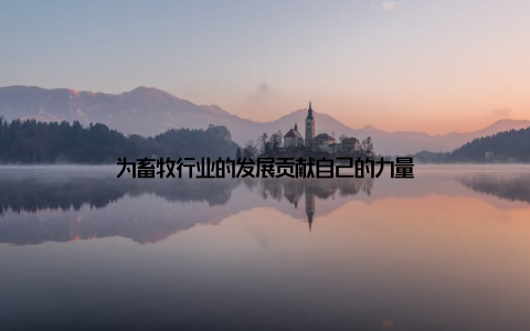 为畜牧行业的发展贡献自己的力量