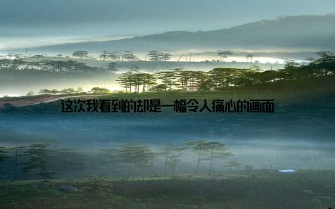 这次我看到的却是一幅令人痛心的画面