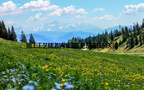 加工工艺精湛的加工工艺是美味的关键