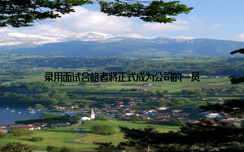 录用面试合格者将正式成为公司的一员