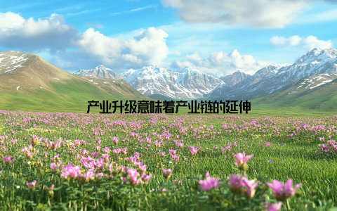 产业升级意味着产业链的延伸