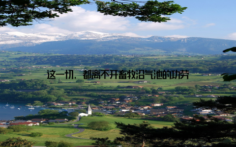 这一切, 都离不开畜牧沼气池的功劳