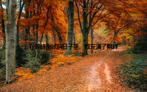 在等待面试的日子里, 我充满了期待