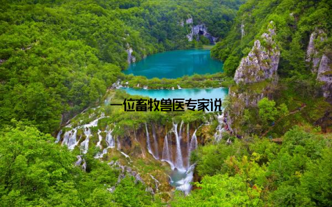 一位畜牧兽医专家说