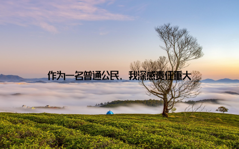 作为一名普通公民, 我深感责任重大