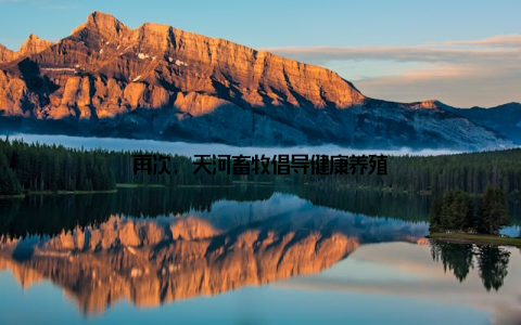 再次, 天河畜牧倡导健康养殖