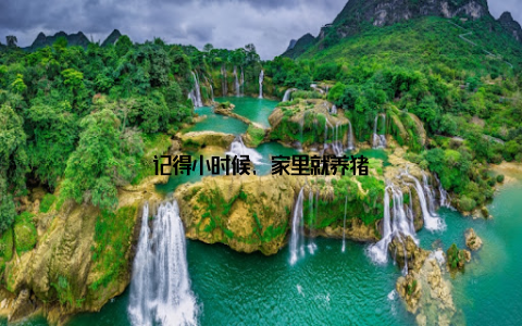 记得小时候, 家里就养猪