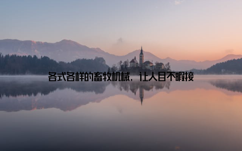 各式各样的畜牧机械, 让人目不暇接