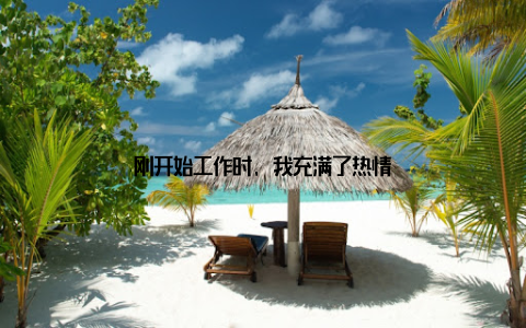 刚开始工作时, 我充满了热情