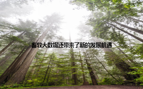 畜牧大数据还带来了新的发展机遇