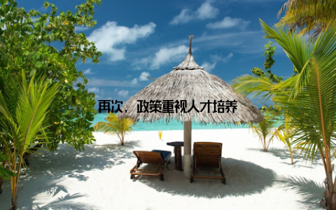 再次, 政策重视人才培养