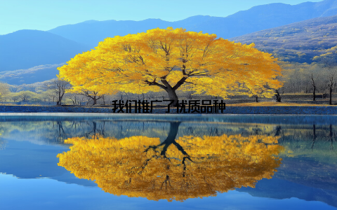 我们推广了优质品种