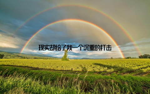 现实却给了我一个沉重的打击