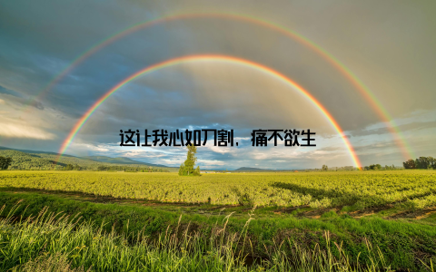 这让我心如刀割, 痛不欲生