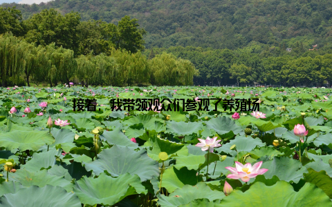 接着, 我带领观众们参观了养殖场