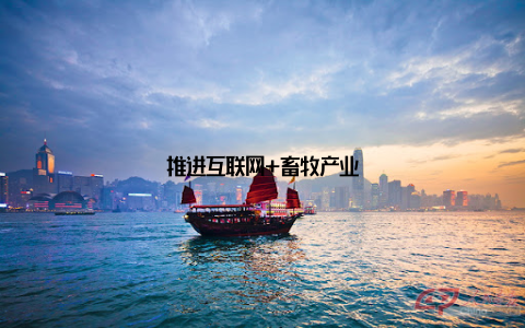 推进互联网+畜牧产业