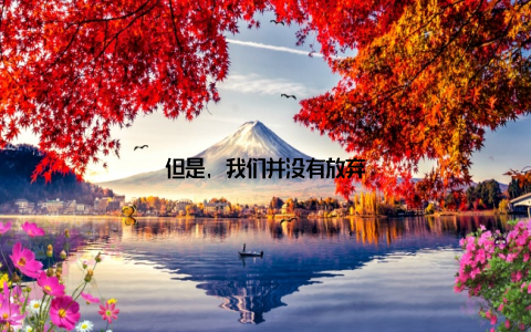 但是, 我们并没有放弃