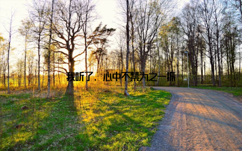 我听了, 心中不禁为之一振