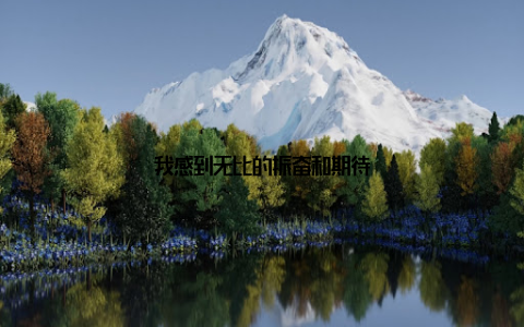 我感到无比的振奋和期待