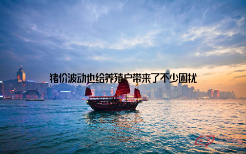 猪价波动也给养殖户带来了不少困扰