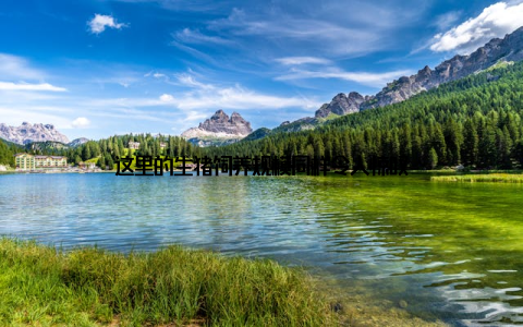 这里的生猪饲养规模同样令人惊叹