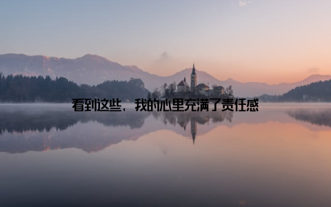 看到这些, 我的心里充满了责任感