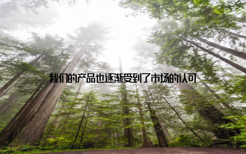 我们的产品也逐渐受到了市场的认可