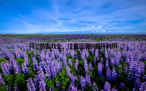 芬兰的畜牧业, 注重资源的循环利用