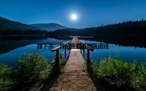 接下来, 我们来看看兽医资讯